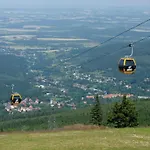 Finezja *