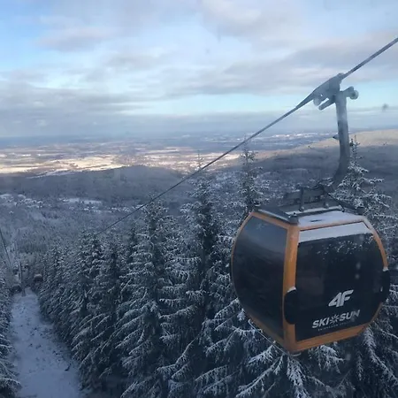 Finezja Проживание в семье