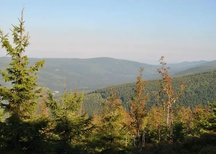 Finezja Świeradów-Zdrój