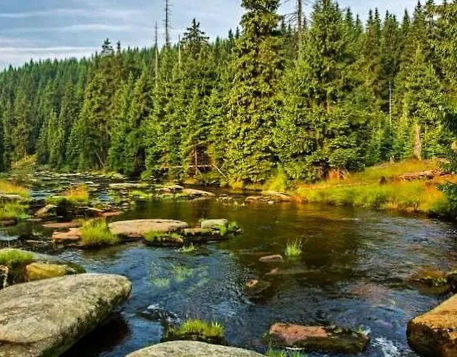 Finezja Kwatera prywatna