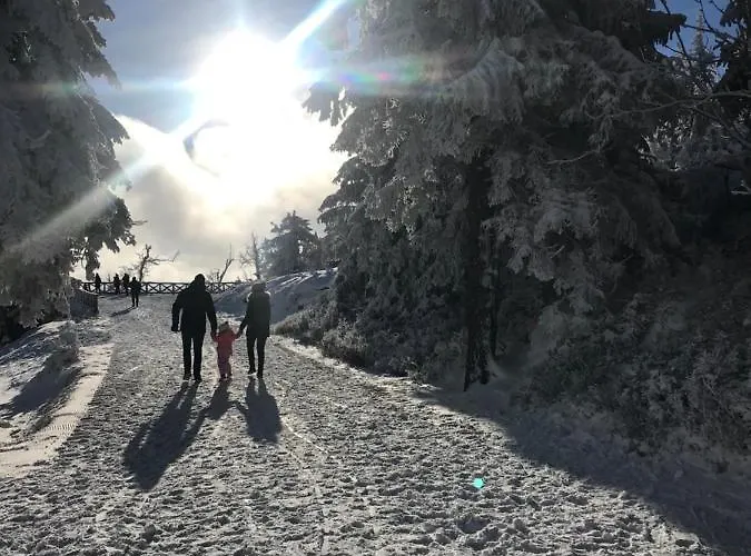 Finezja Świeradów-Zdrój