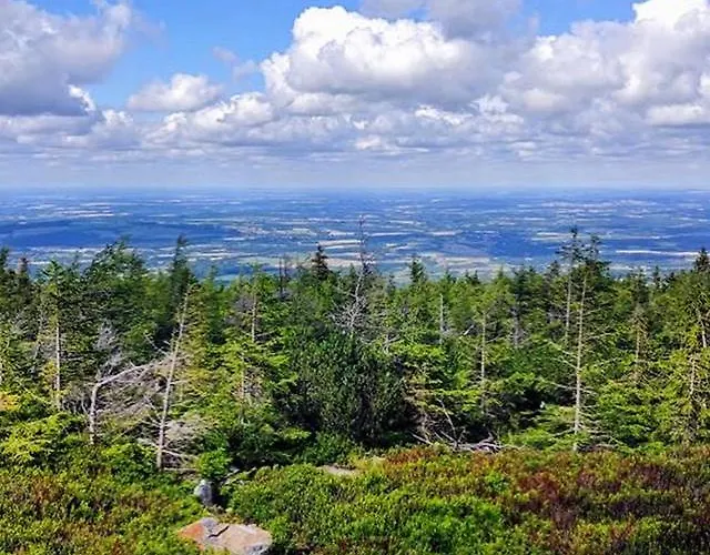 Finezja Séjour chez l'habitant