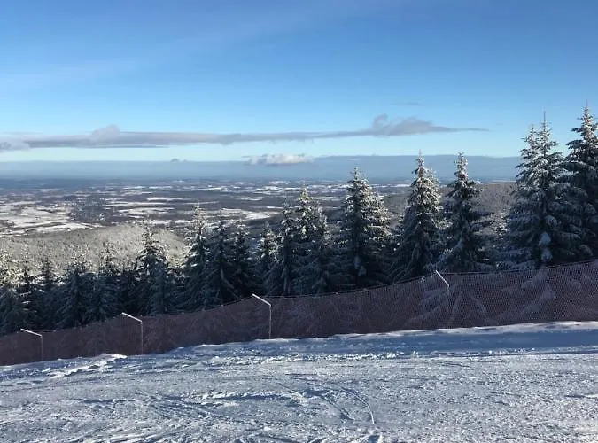 Finezja Kwatera prywatna